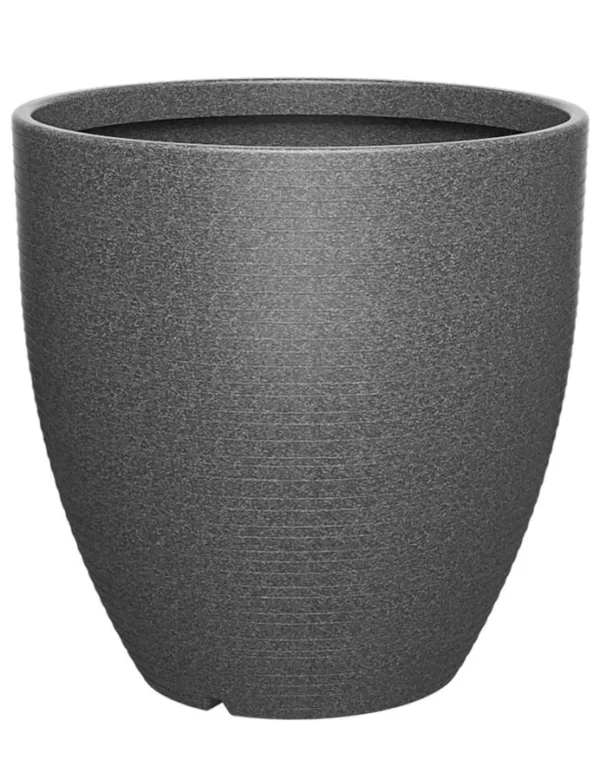 Bello DM - MEDIUM